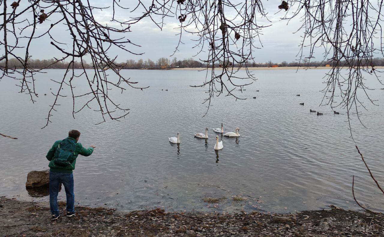 У парку «Наталка». Ілюстративне фото Катерина Новосвітня