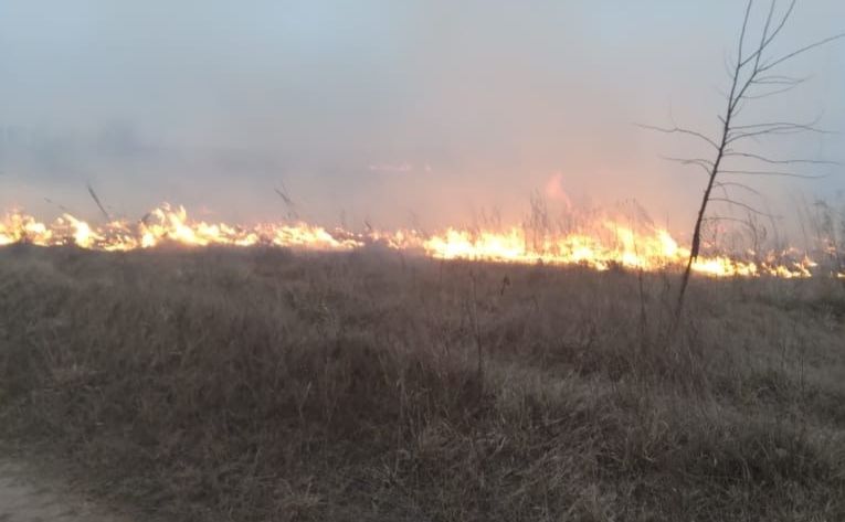 Фото: ГУ ДСНС у Київській області
