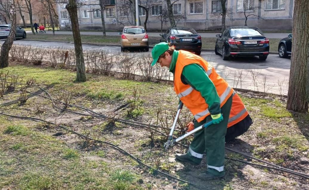 Зеленбудівці висадили 95 троянд. Фото: Дніпровська РДА
