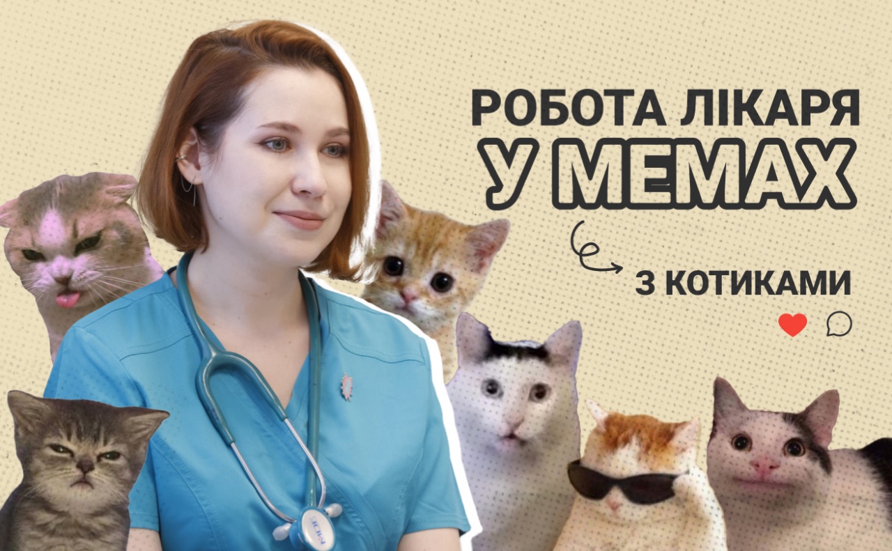 Лікар-інтерн разом з головними героями її роликів. Колаж: Оксана Гладкевич