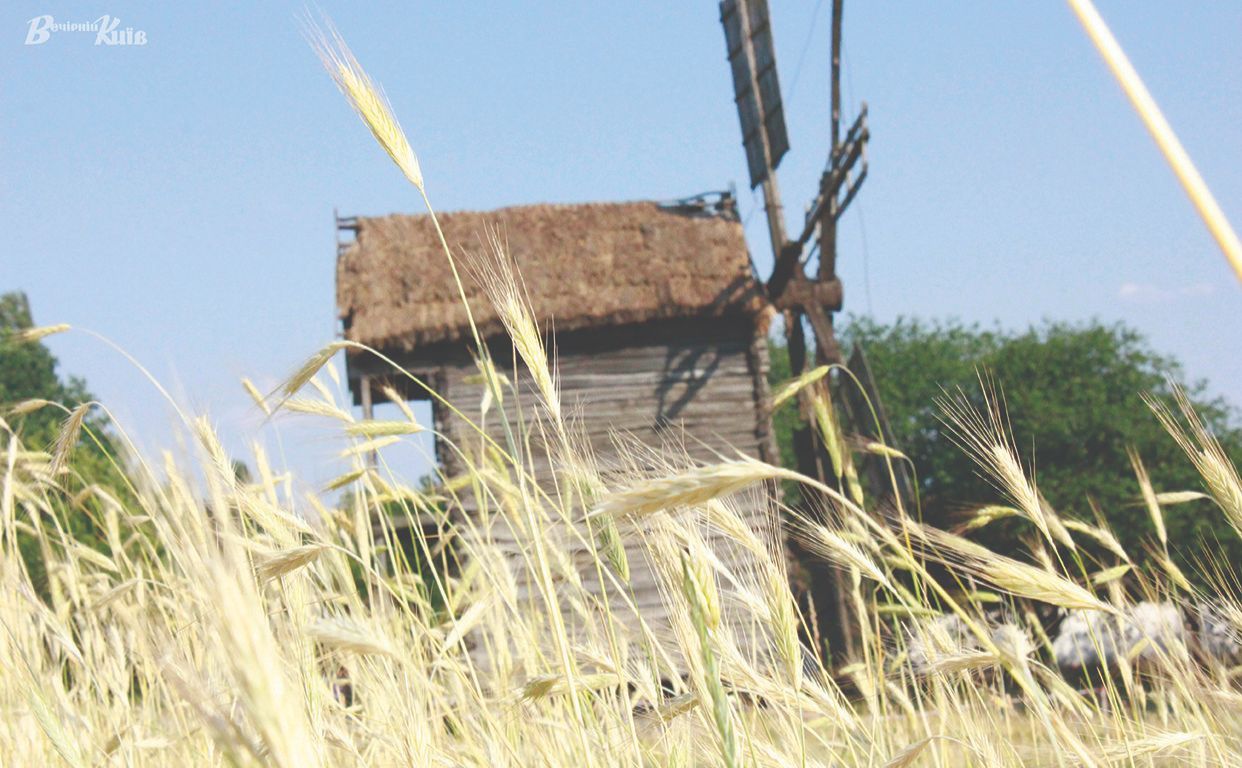 Музею народної архітектури та побуту. Фото: Вечірній Київ