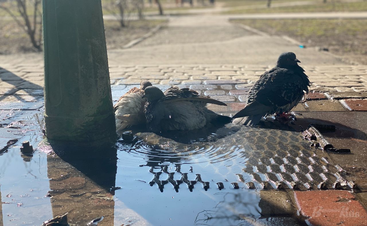 Повітря прогріється до +27 градусів. Фото: Олександр Галух