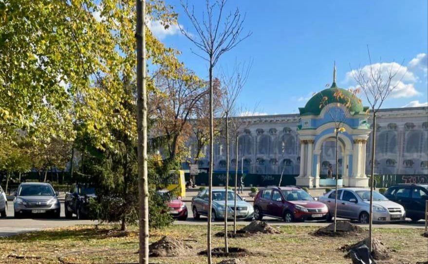 Ілюстративне фото з відкритих джерел