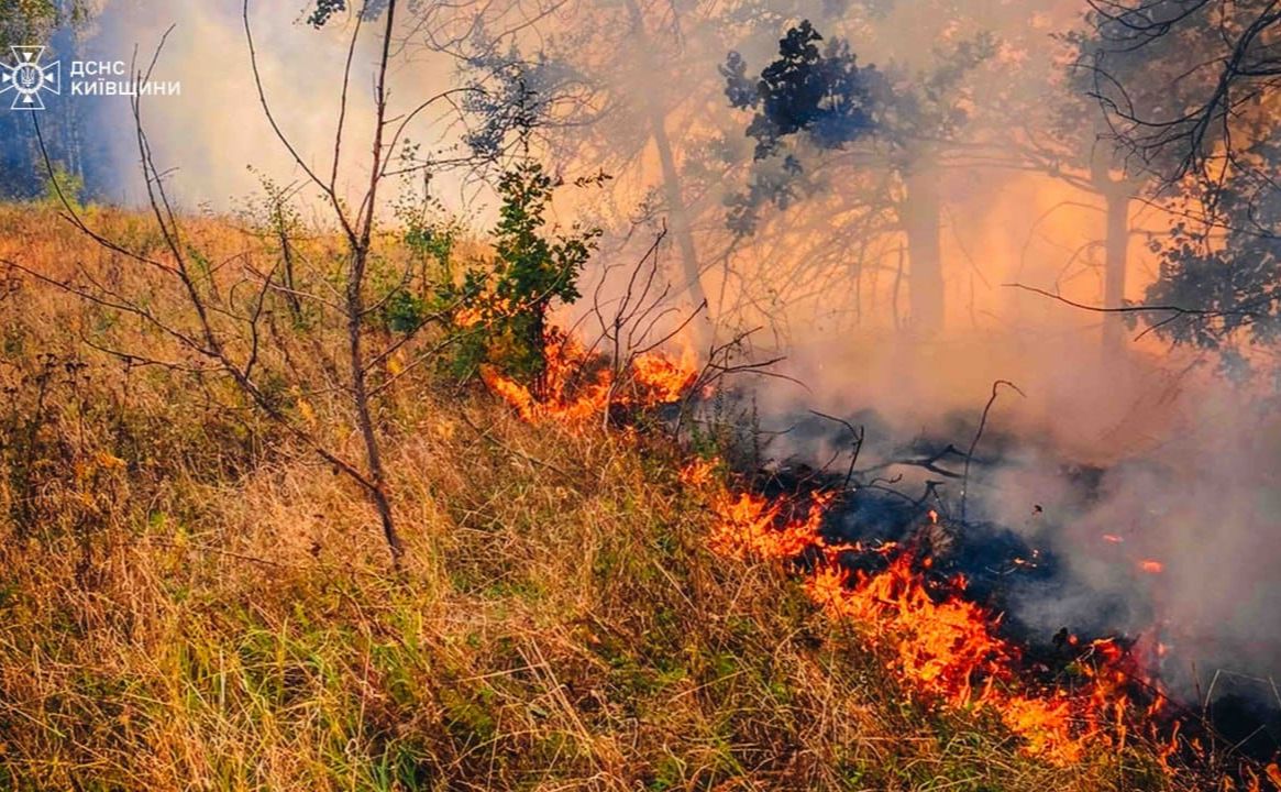 Пожежа в екосистемі. Фото: ГУ ДСНС Київщини