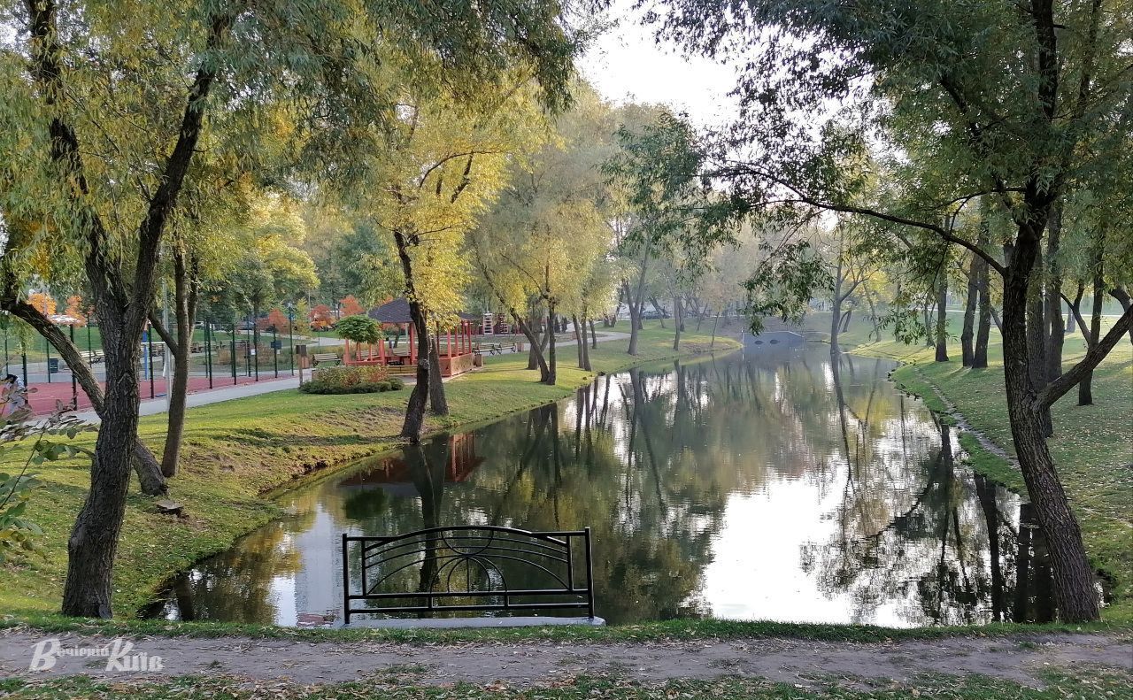 Осінь у парку в Києві. Фото: Наталія Слінкіна