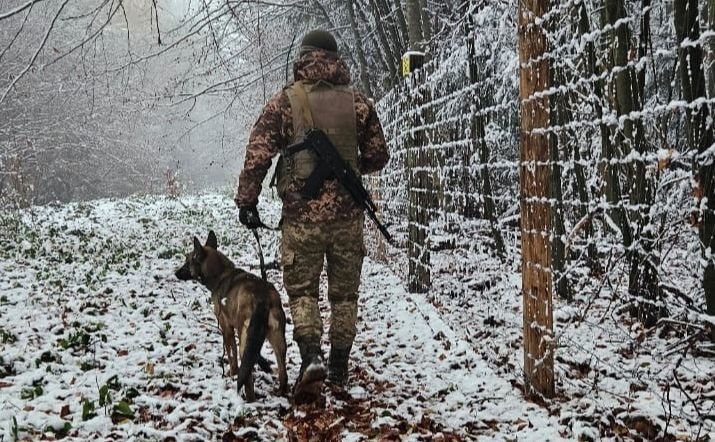 На слід порушників охоронців кордону вивів службовий собака. Фото ілюстративне: ДПСУ