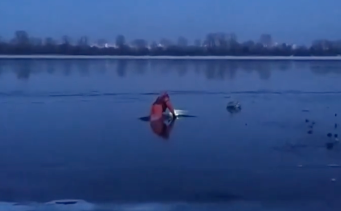 Порятунок птаха. Скрін з відео: КАРГ