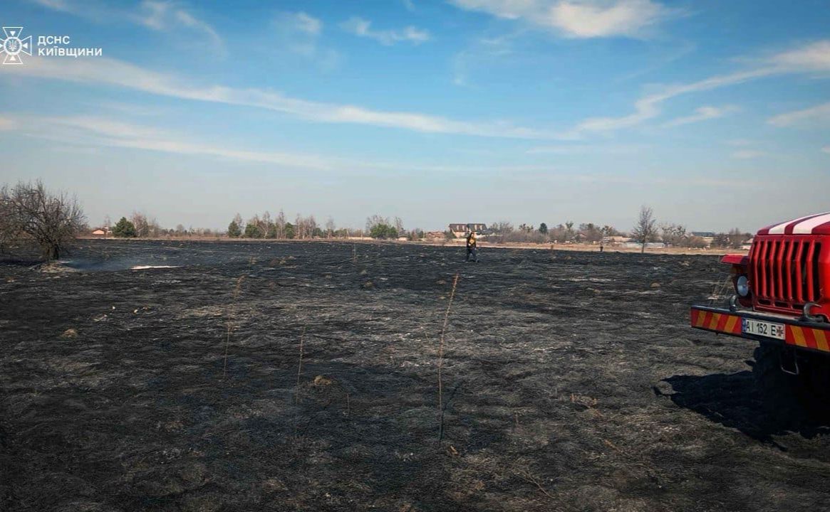 Випалене поле — у селі загорівсі через необачність очерет. Фото: ДСНС Київщини