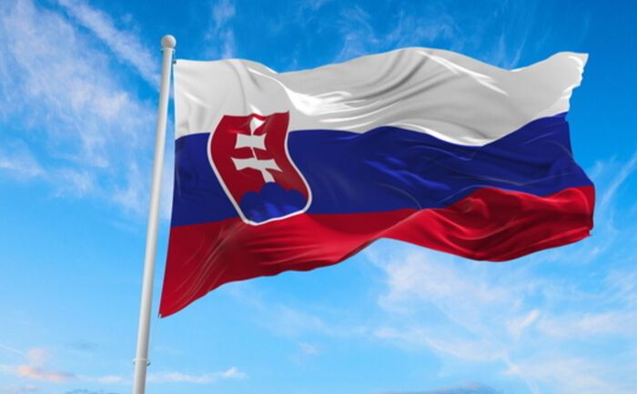 Прапор Словаччини. Фото ілюстративне з відкритих джерел