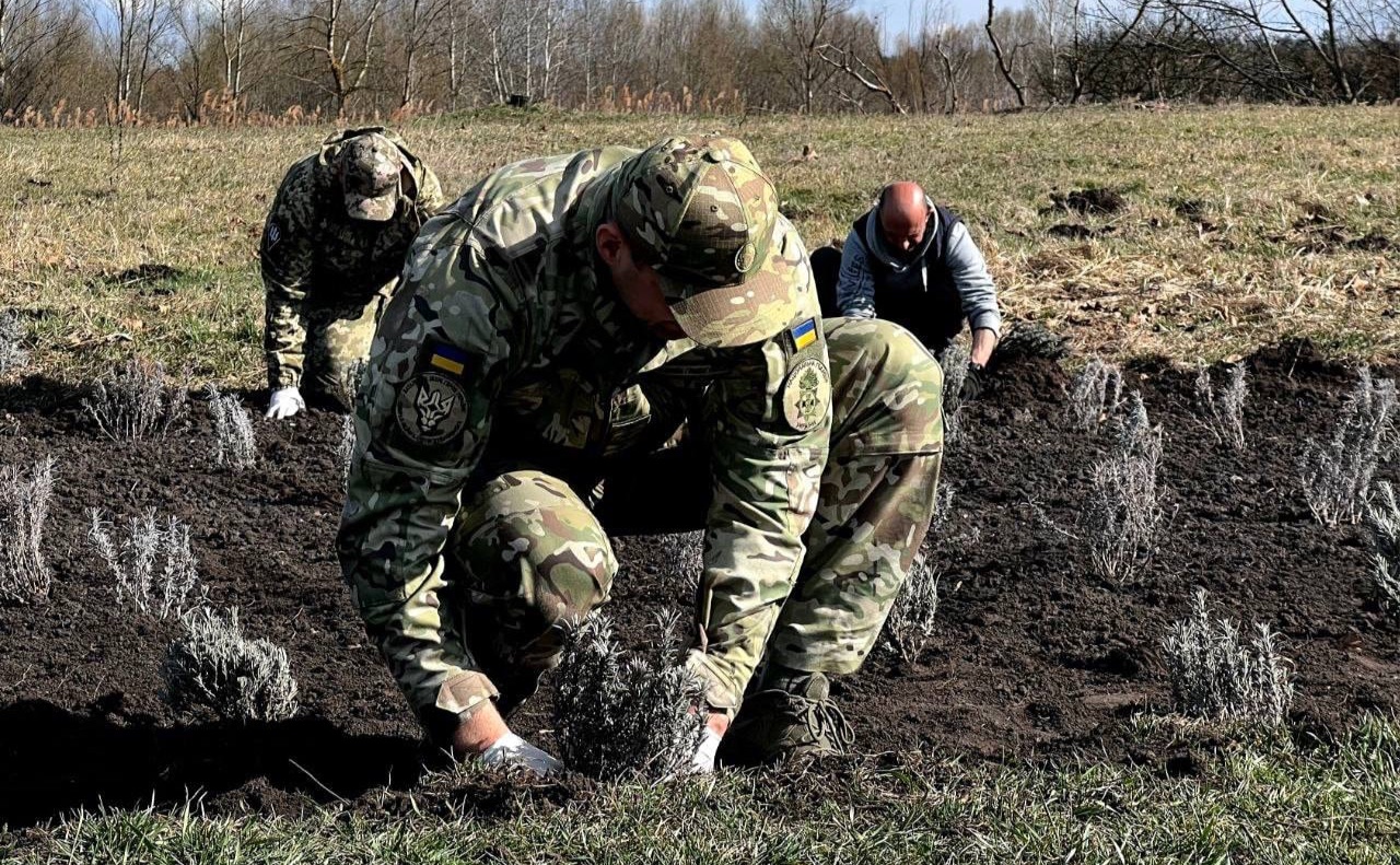 Ірпінь вшанував пам’ять своїх героїв та загиблих мешканців, створивши на набережній лавандову галявину. Фото: Ірпінська міськрада