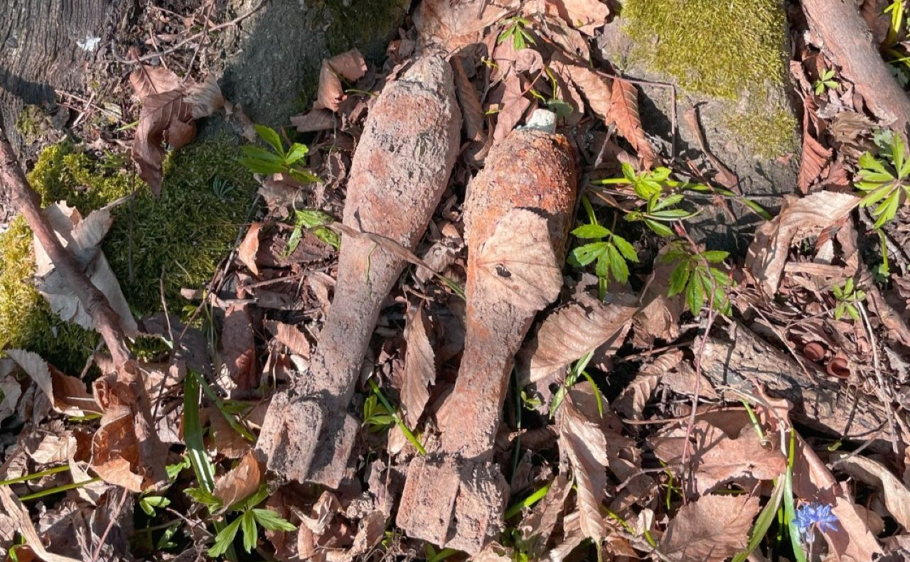 Боєприпаси часів Другої світової війни лежали під деревом. Фото: МРЦ ШР ДСНС