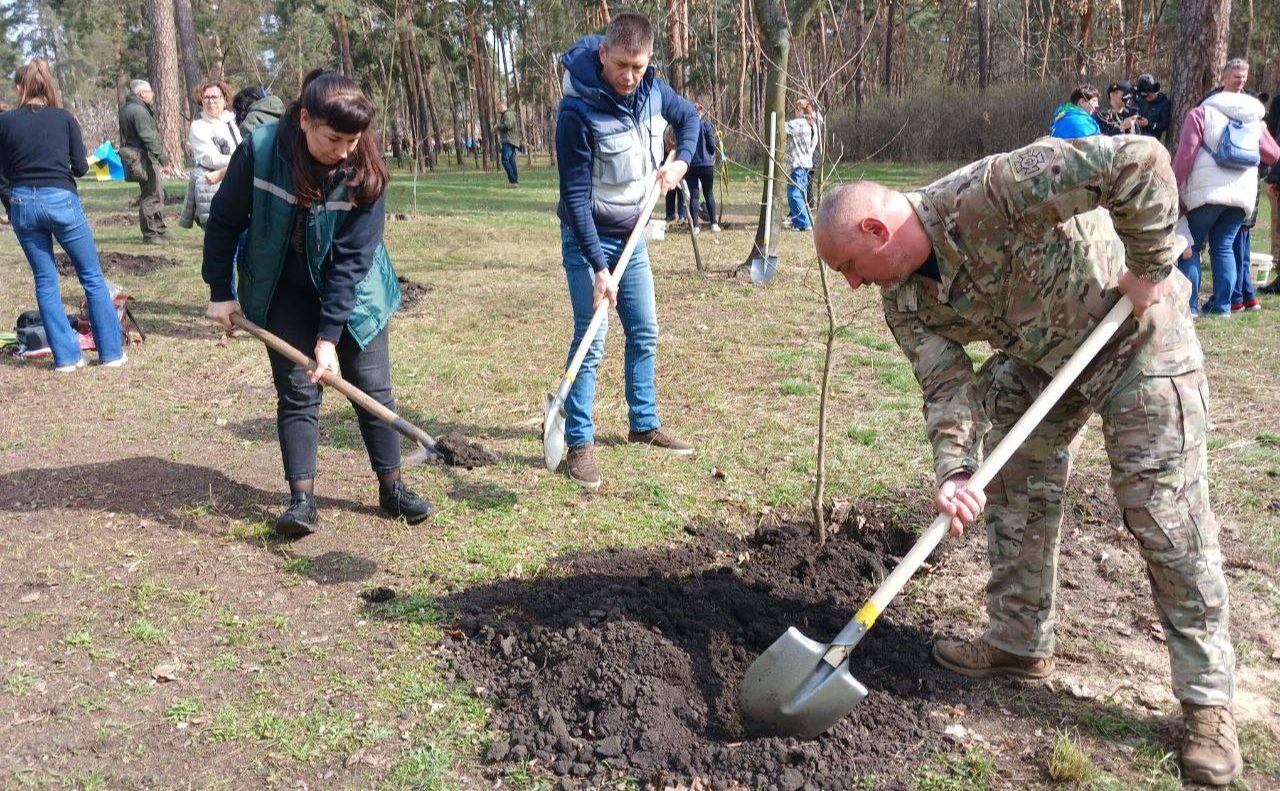 Під час висадження дерев. Фото: КП УЗН Дарницького району