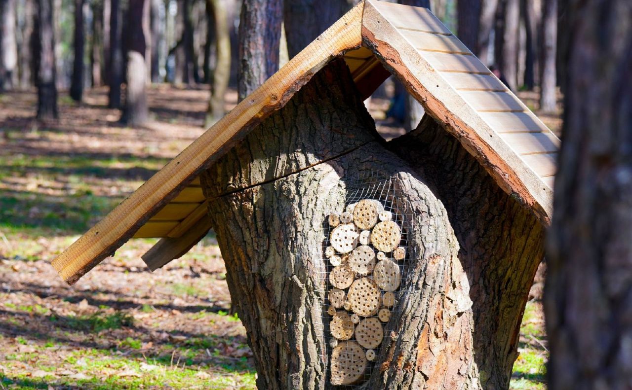 Деякі будиночки для комах є справжніми окрасами у парках. Фото: Київзеленбуд