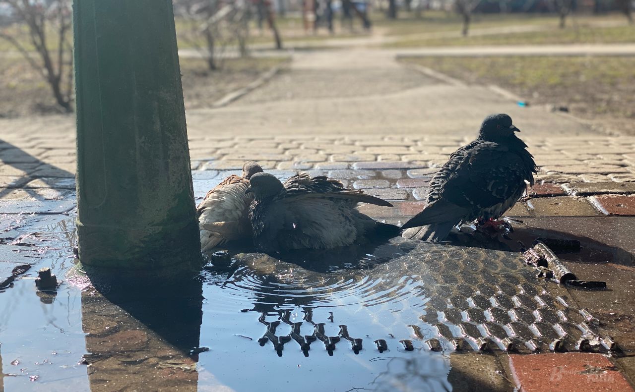 У суботу в столиці очікується суха погода. Фото ілюстративне: Олександр Галух