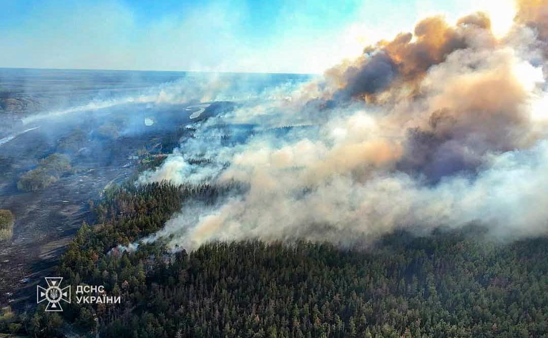 Пожежі у теплу суху погоду стали масовими. Фото: ДСНС
