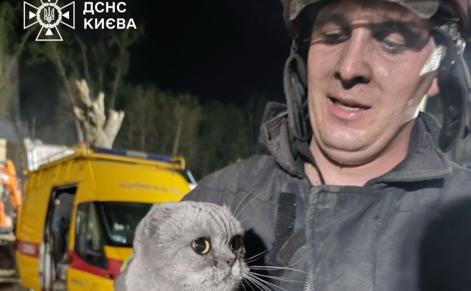 Рятувальники дістали з-під завалів живих тварин. Фото: ДСНС Києва