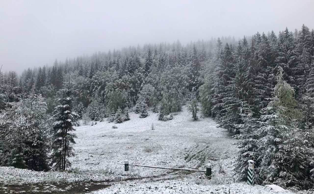 На прикордоння повернулася зимова погода. Фото: ДПСУ