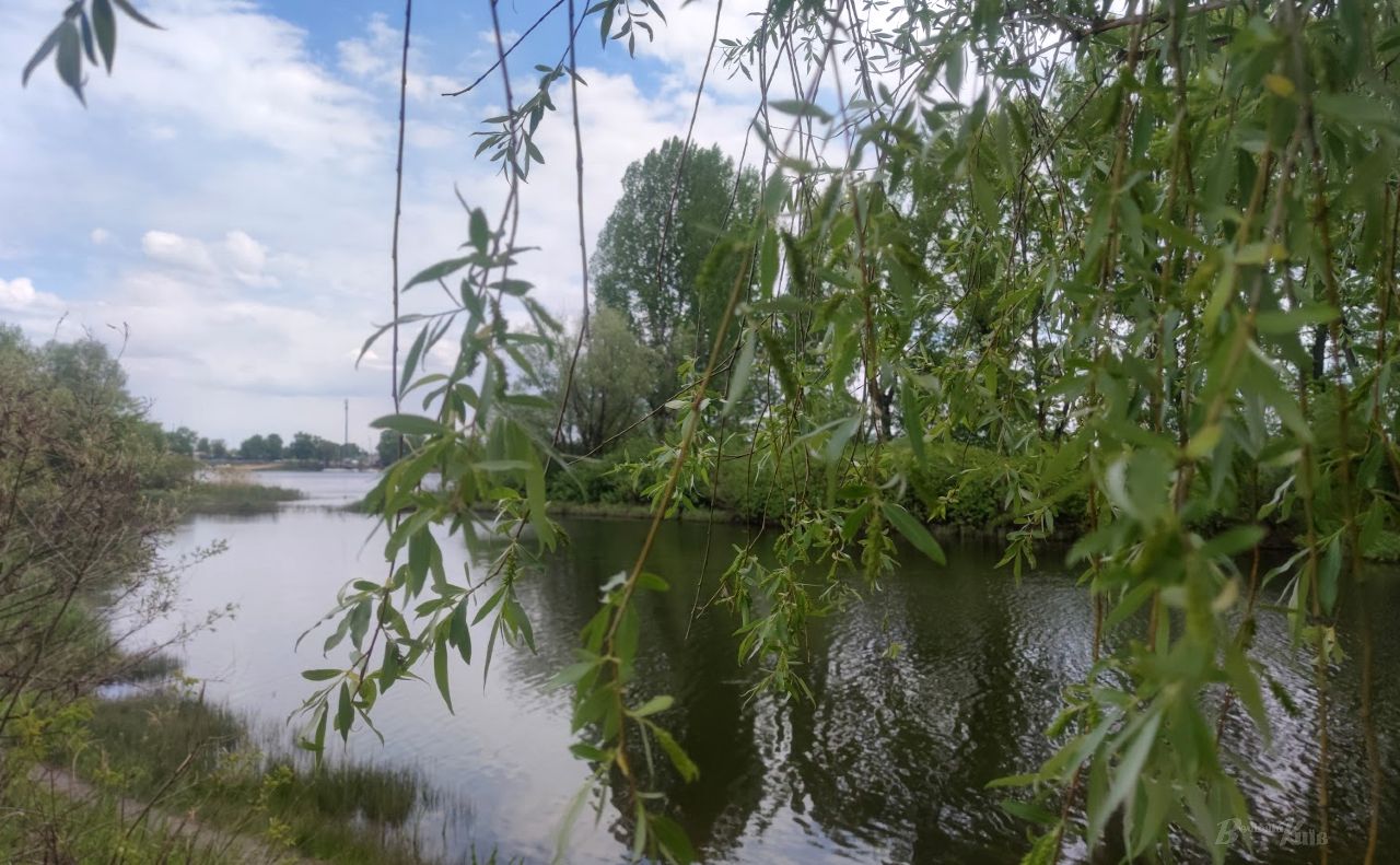 Біля вулиці Прирічна. Ілюстративне фото «Вечірній Київ»