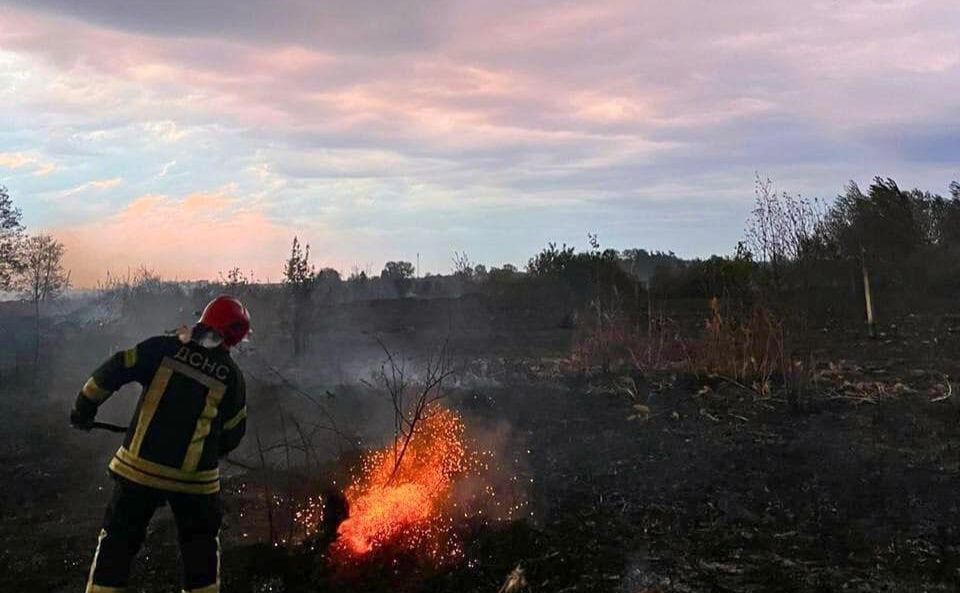Пожежа в екосистемі. Ілюстративне фото. Автор ГУ ДСНС в Київській області