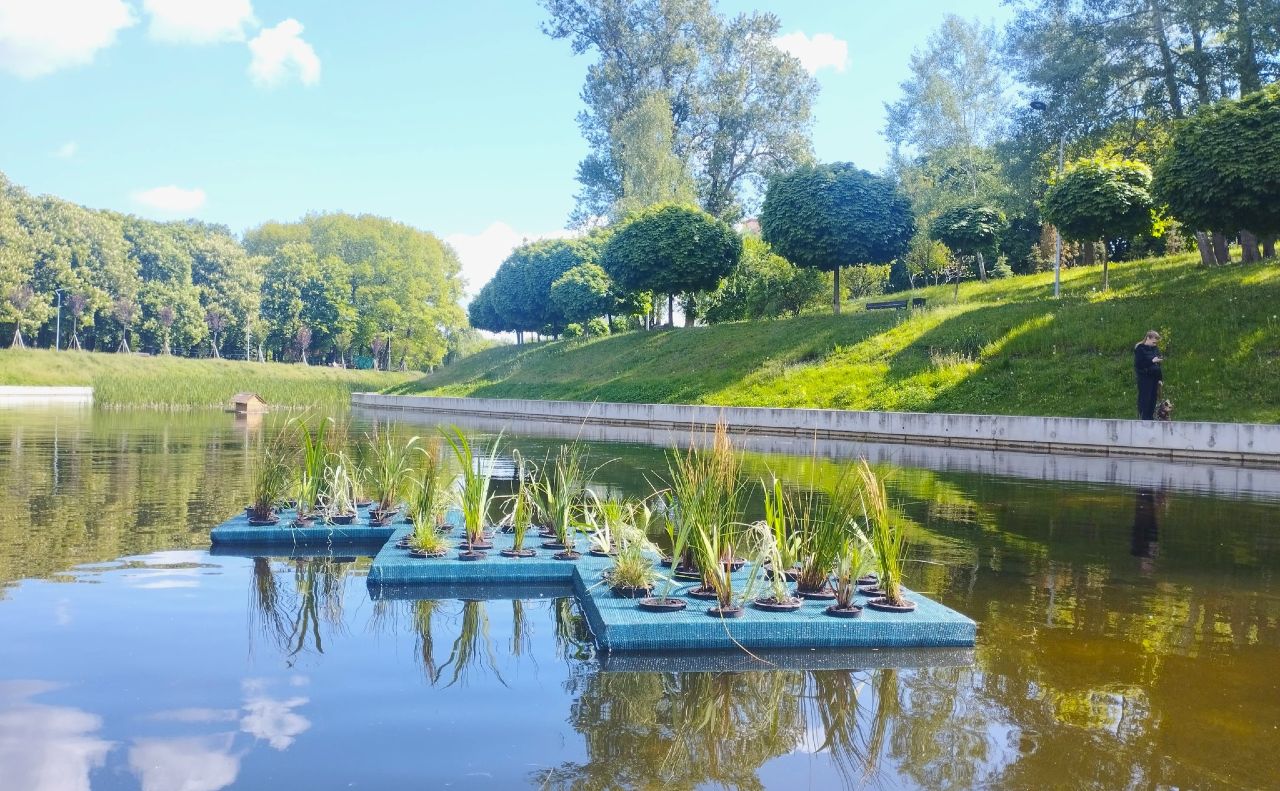 Плавучі острови — квітники у Києві. Фото: КО «Київзеленбуд»