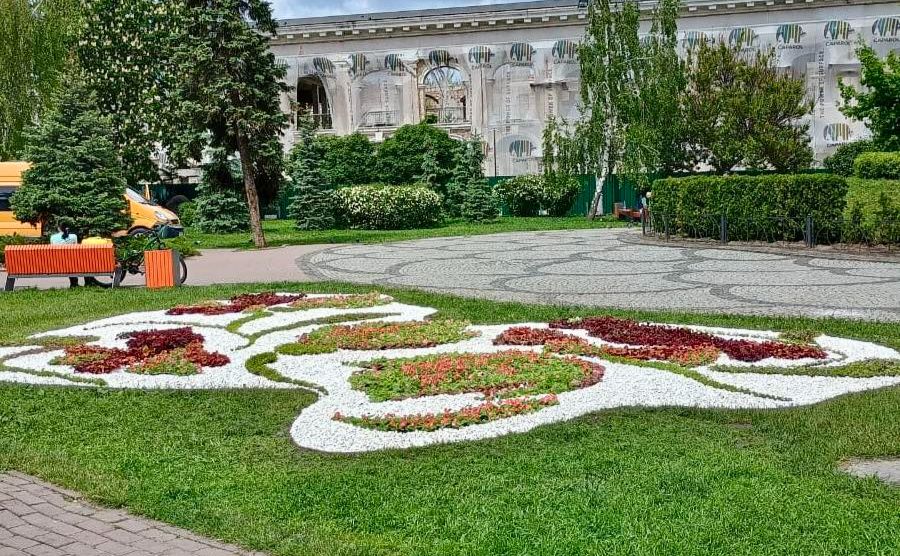 Квітник на Контрактовій площі. Фото: КП УЗН Подільського району
