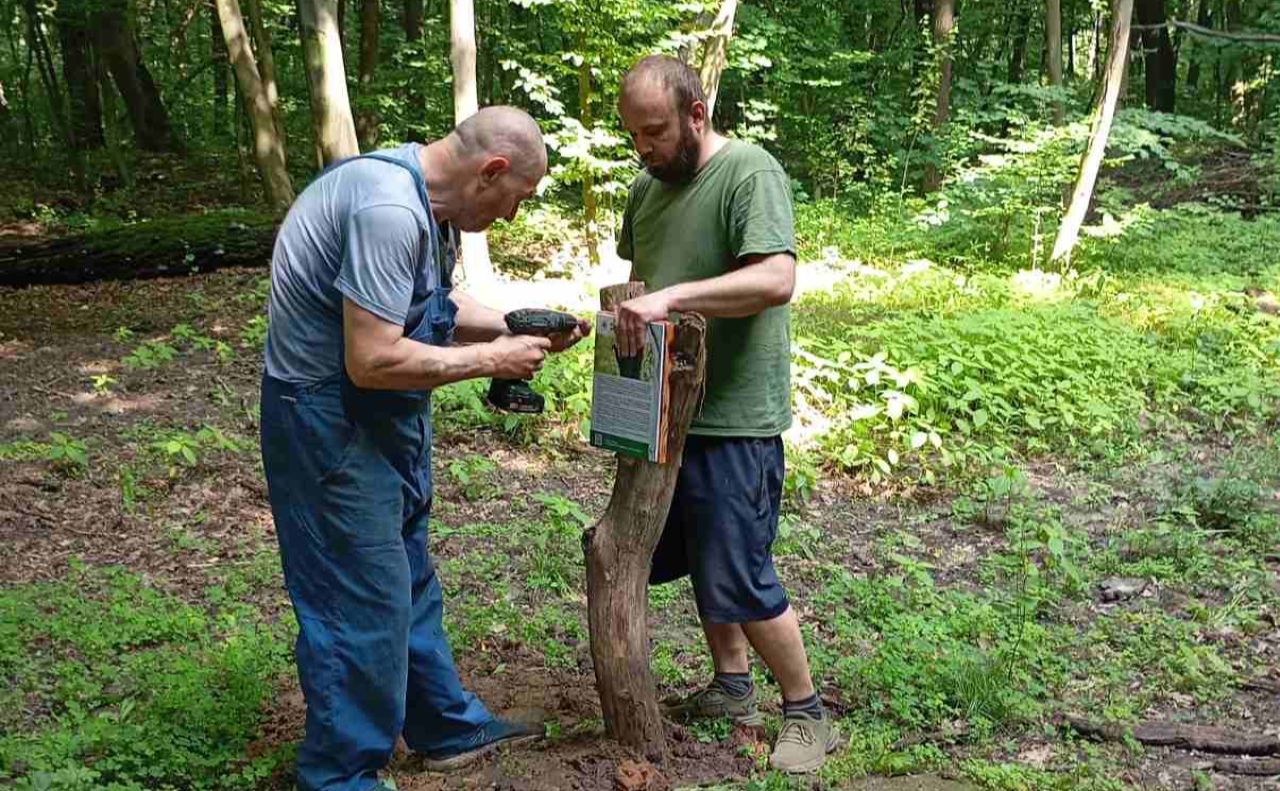 Працівники встановили таблички. Фото: Нацпарк Голосіївський