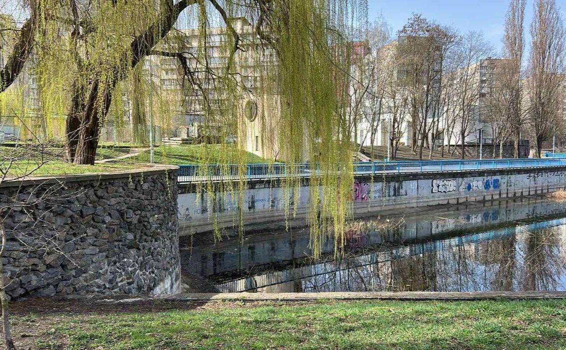 Озеро Голубе на масиві Виноградар. Фото: КП «Плесо»