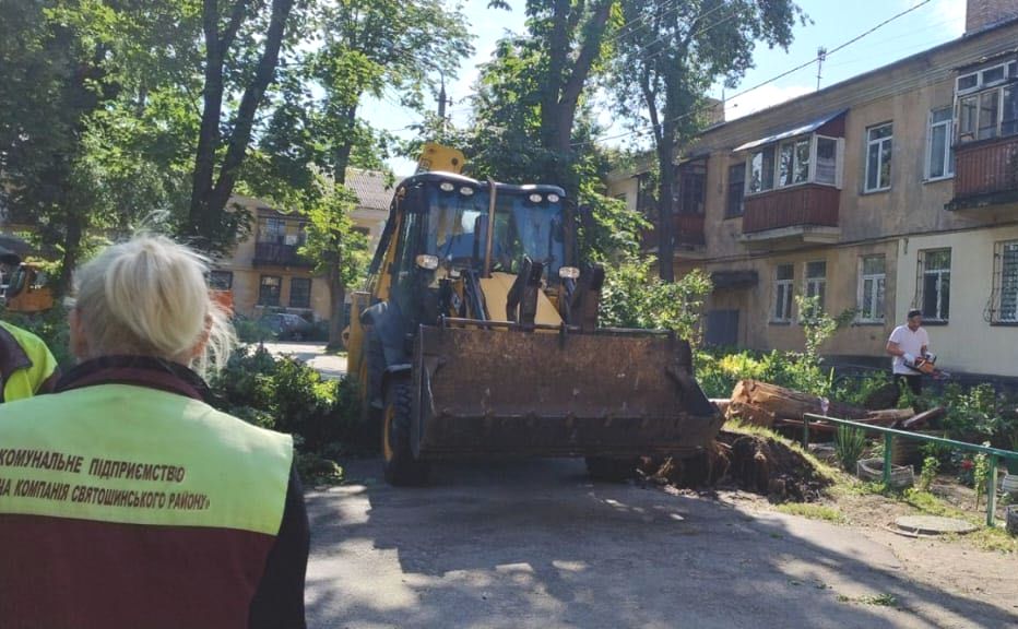 Роботи на подвір’ях на Святошині. Фото: Святошинська РДА