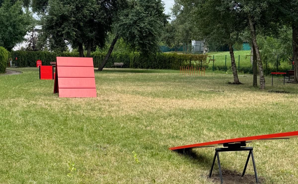 Снаряддя для занять з собаками на новому майданчику у парку «Наталка». Фото: КМДА