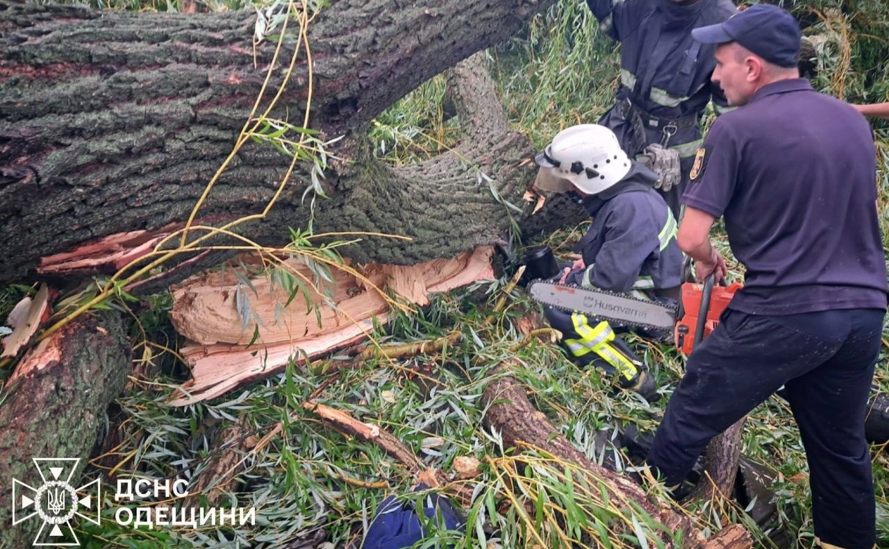 Рятувальники дістали з-під дерева тіло хлопця та визволили 4 дівчат.