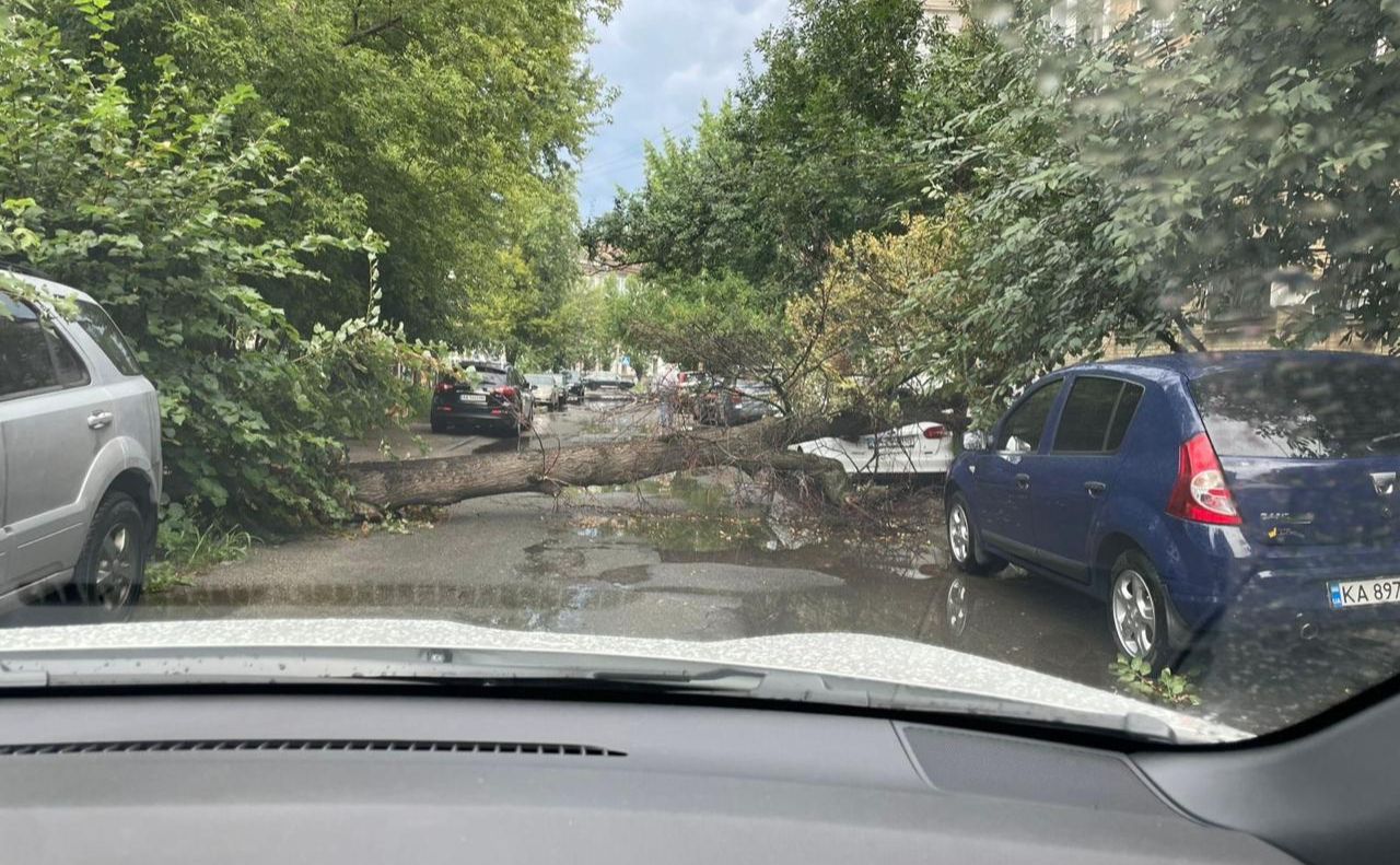 Наслідки негоди в Києві. Фото: Департамент муніципальної безпеки КМДА
