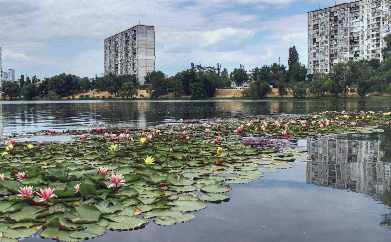 Квіти висадили мешканці Березняків. Фото: Київ Лівобережний, фейсбук