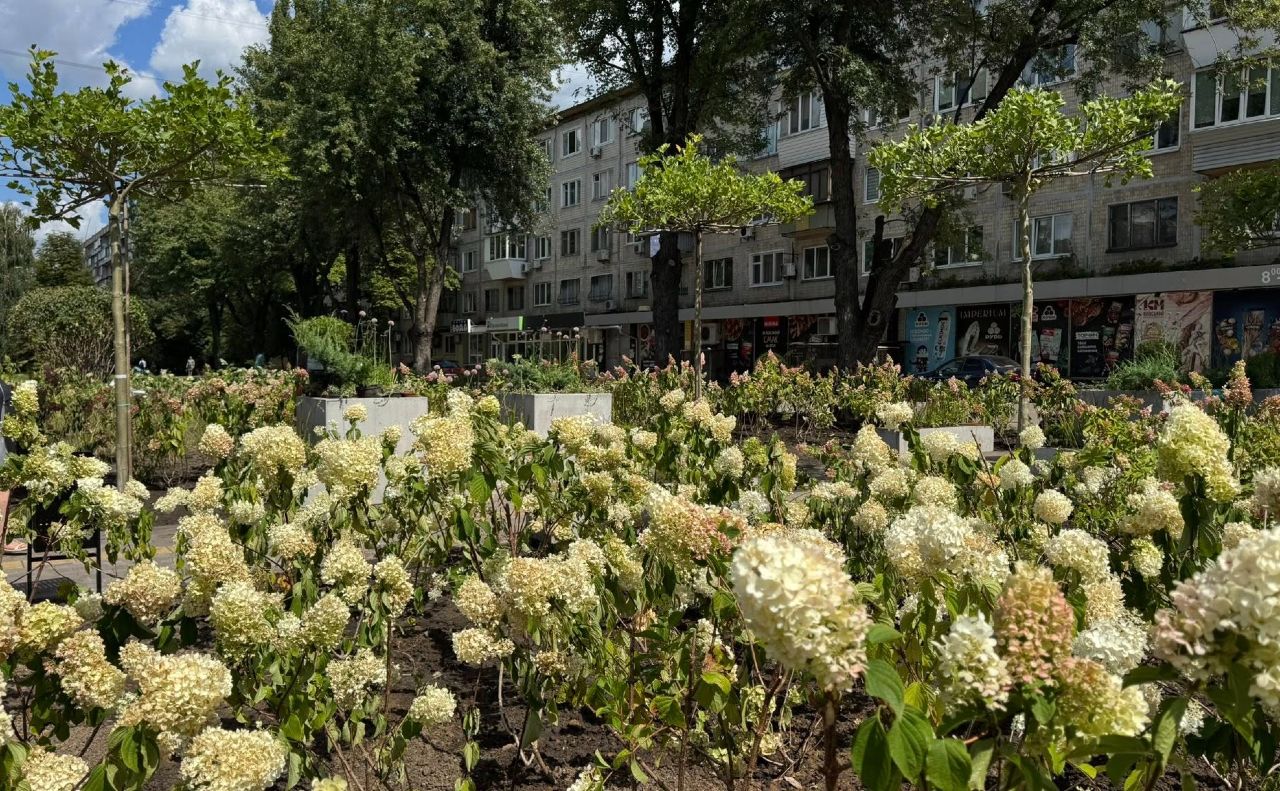 Новий квітучий простір на вулиці Виговського. Фото: КП УЗН Подільського району
