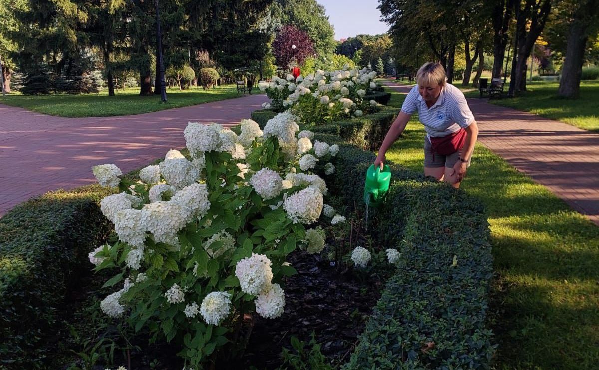 Працівниця Київзеленбуду. Фото: Київзеленбуд