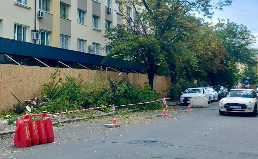 Зрізані дерева. Фото: КП УЗН Подільського району