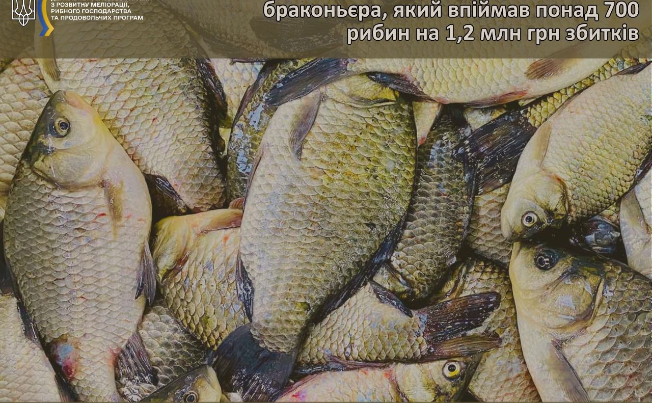 Улов на мільйон. Фото: Держрибагентства