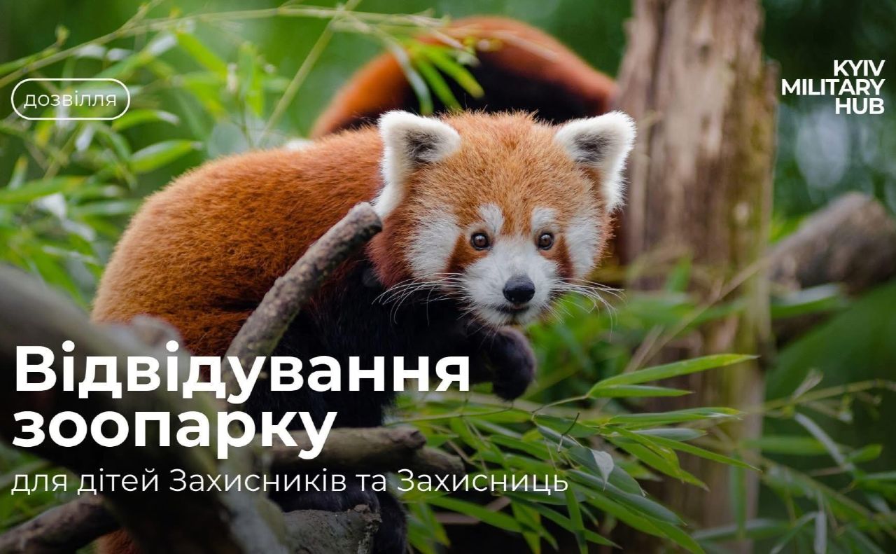Інфографіка Київ Мілітарі Хаб