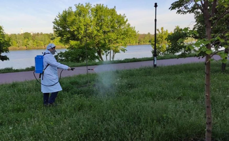 Фото ілюстративне: Київзеленбуд