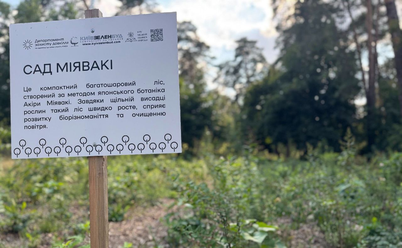 Експериментальна ділянка у парку Партизанської слави. Фото: Дарницька РДА