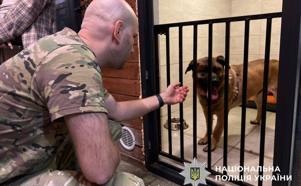 Собака доглянутий, проходить соціалізацію, отримує медичну допомогу та харчування. Фото: поліція