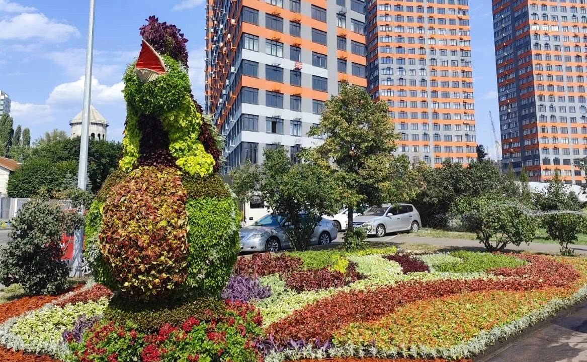 Квіткова композиція «Васильківська майоліка». Фото: КО «Київзеленбуд»