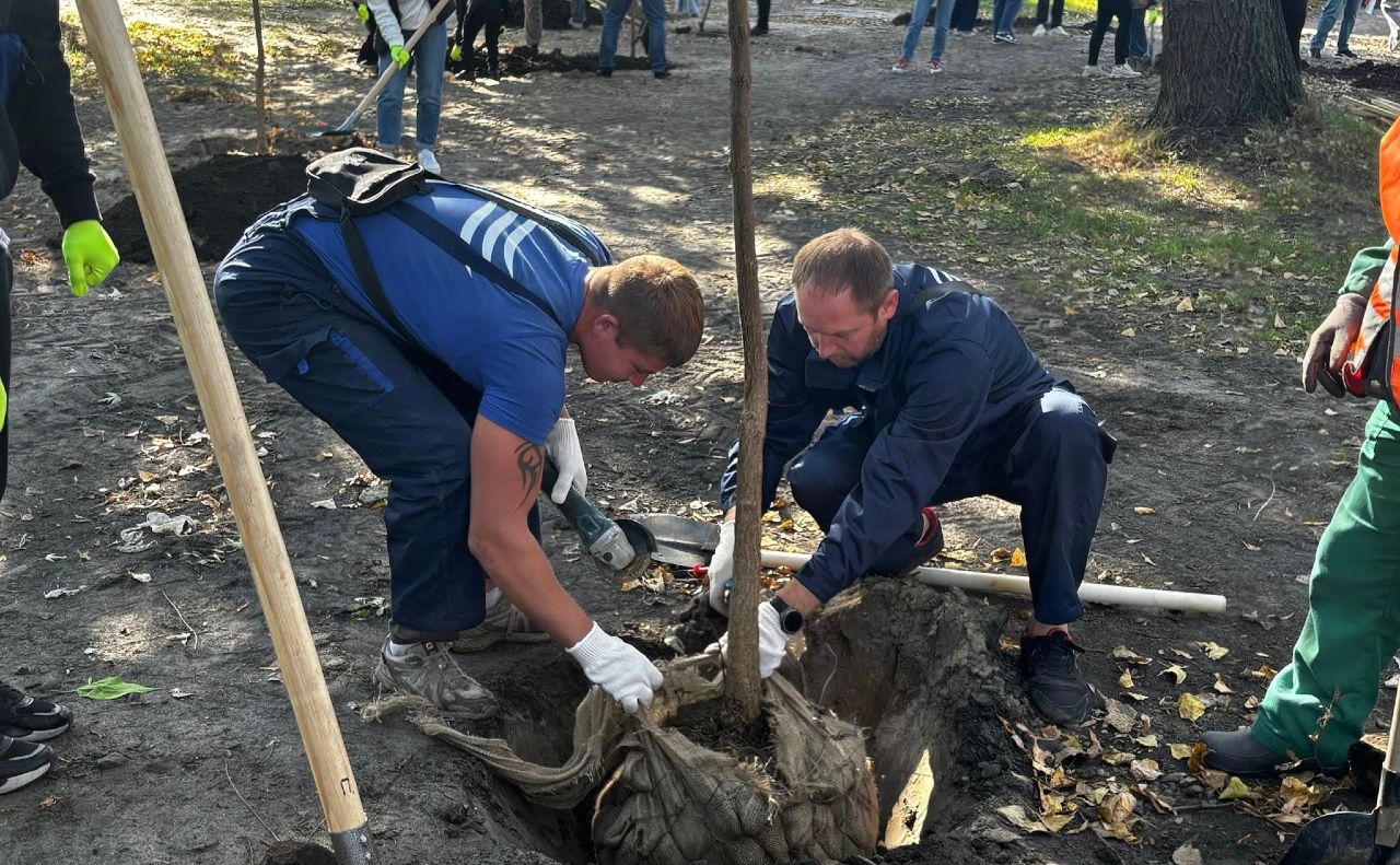 Висадка катальп на острові. Фото: Департамент територіального контролю