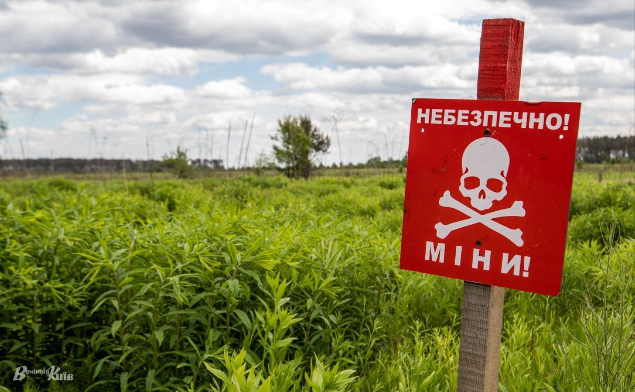 Розмінування території. Ілюстративне фото Олексія Самсонова