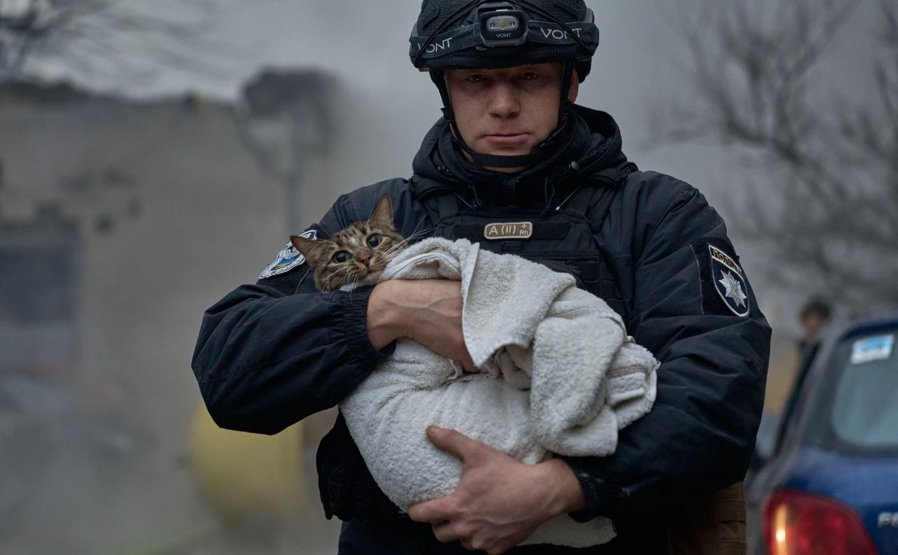 Поліцейський рятує кота після обстрілу Києва. Фото: Костянтин і Влада Ліберови