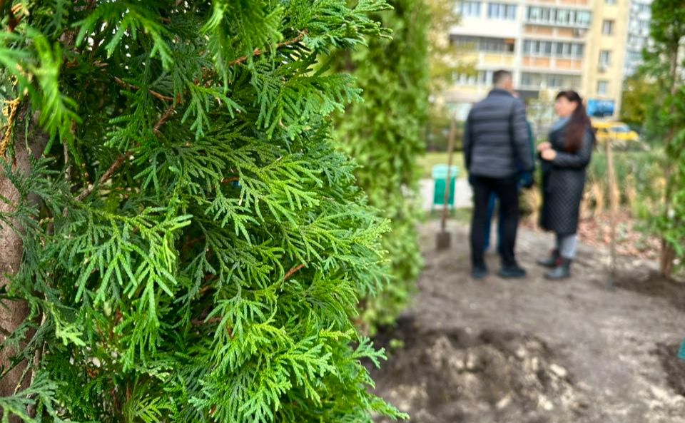 Сквер на Григоренка. Фото: КО «Київзеленбуд»