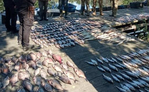 Підозрюваним інкримінують дві статті Кримінального кодексу. Фото: Нацполіція