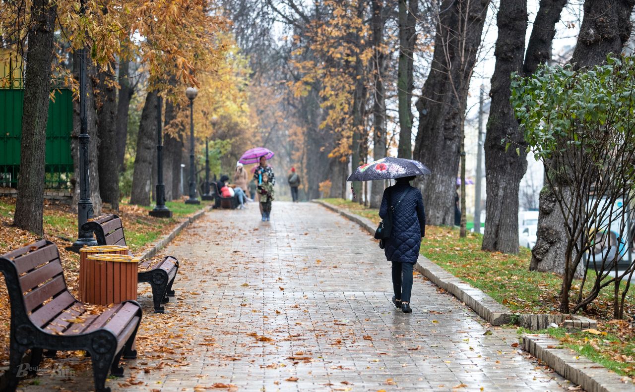 Киян чекають невеликі опади. Фото: Олексій Самсонов
