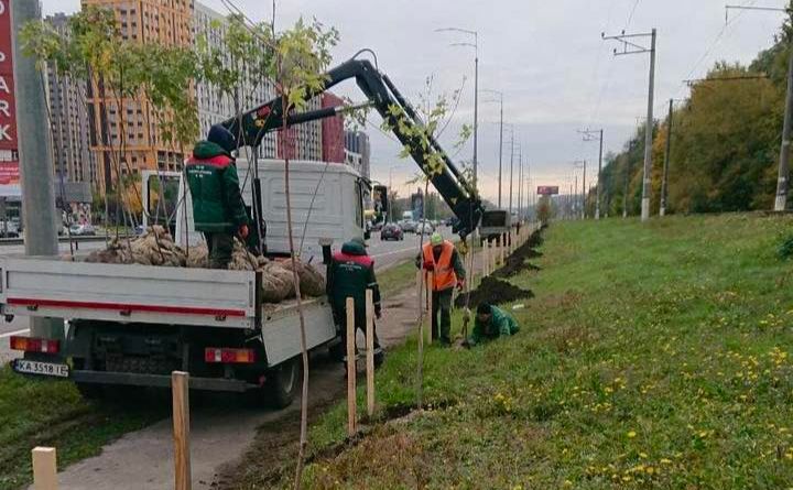 Висадження дерев у Голосіївському районі. Фото: КП УЗН Голосіївського району