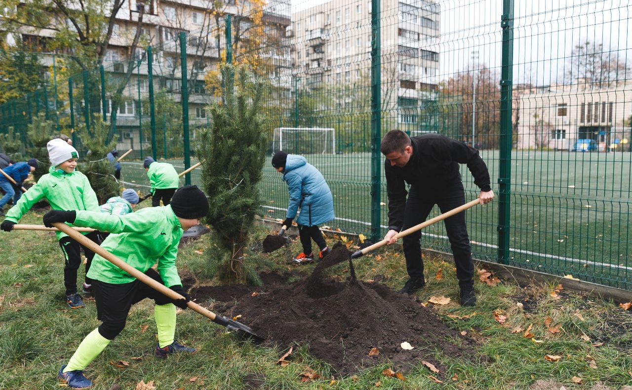 Толока на Лісовому масиві. Фото: Департамерт територіального контролю міста Києва