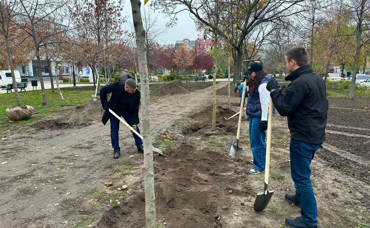 Сквер біля кінотеатру «Жовтень» прикрасили липами. Фото: Київзеленбуд